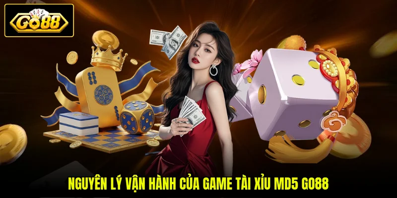 Tài Xỉu MD5 GO88 - Luật Chơi Và Kinh Nghiệm Thực Chiến 2 Nguyên lý vận hành của game tài xỉu MD5 GO88
